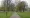 Well Street Common assault: appeal for witnesses after man left in critical condition