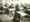 School stock image