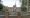 Mossbourne Victoria Park Academy