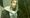 aarron mckoy