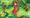 Arrietty: a hand-drawn tale