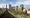 Campaigners and council to scrutinise plans for Bishopsgate Goodsyard