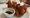 Carte Blanche, Hackney Central, restaurant review: a meal of two halves