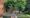 ‘Absolute outrage’: Four trees to be felled in East London despite residents’ battle to save them
