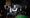Ear this: Chris Singleton and the Distractions