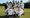 Clissold Rangers storm on