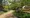 Mental health charity to open beautiful garden ‘sanctuary’ in Homerton