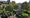 Core Arts launches online lessons for budding gardeners as skeleton staff maintains rooftop haven