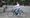 Work on new Cycleway between Lea Bridge and Dalston to begin this spring