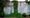 Campaign to save Clapton community garden pins hopes on 1980s mural