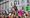 Extinction Rebellion: Free six-month display to be unveiled at V&A Museum of Childhood