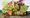 The house of Medici and its fascination with pear paintings