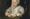 Susanna’s Manners