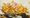 'Mature': detail from Giovanna Garzoni’s Plate of Peas (1651-62). All images: Wikimedia Commons