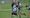 Man of the match Colin Kpodonu takes on the Kilburn backs