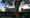 ‘Reflection, anger, protest’: Notice This Tree event puts spotlight on environmental loss