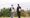Iain Sinclair walks ‘ginger line’ in film adaptation of London Overground