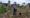 Allotment tenants evicted from Olympic Park reap harvest in new plots