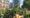 The Citizen Gardener:  ‘An urban garden at night brings wildness and community’