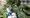The Citizen Gardener: ‘It’s been a joy to see so many people benefit’