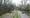Town Hall moots plans to increase protection over Lea Bridge conservation area