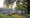 London Fields BBQ_area