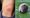 Woman catches Lyme disease from tick bite at Clissold Park, say residents