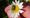 Josh Loeb: Is nature healing?