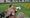 Protest: Meg Hillier MP pictured last year at a protest by renters group Digs Photograph: Digs