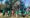‘Learning through play’: Caroline Woodley on Hackney’s adventure playgrounds