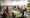 Attendees at last year’s Safari Festival filled Protein Studios en masse. Photograph: Breakdown Press.