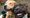 Staffie dogs Hackney