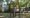 Town Hall unveils first public sculpture by Hackney artist Stik in Hoxton Square