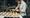 The Waterhouse Project, Mare Street, food review: ‘Supper club fine dining that’s all very un-London’