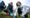 ‘Greening the grey’: Clapton pupils help plant 780 trees on former industrial land at Millfields Park