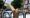 Residents report ‘demoralising’ vandalism of new street trees across Hackney