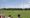 Gone with the wind: turbine plan scrapped