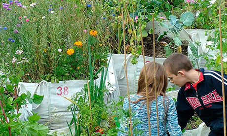 Vacant Lot Garden