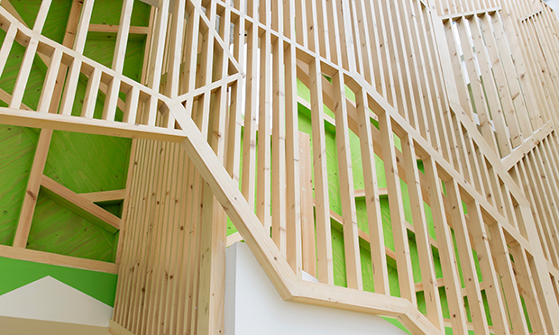 Timber treehouse