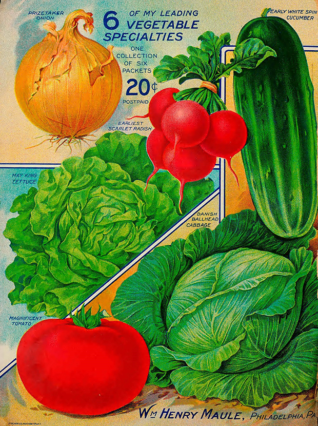Tomato advertisment
