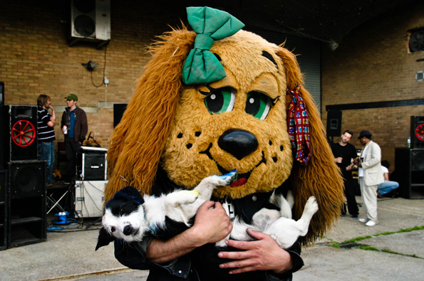 Dogs at the festival Photo: © Jessica Mudditt