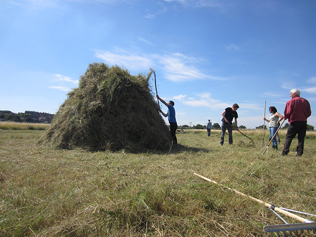 Haystack