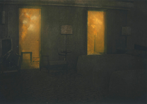 Jarik Jongman, Phenomena (detail), 2009