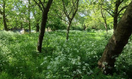 Before the fly-tipping: Mabley Green