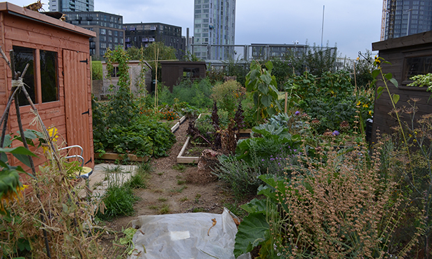 New allotments