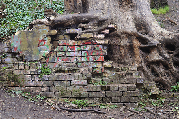 Parkland Walk wall
