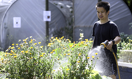 St_Marys_Secret_Garden 460