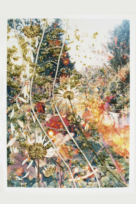 Buy Hackney artwork in aid of Haiti quake appeal – Hackney Citizen