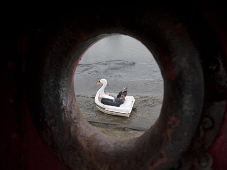 Swandown