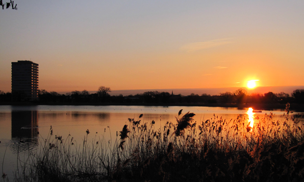 woodberry wetlands stoke newington nature reserve